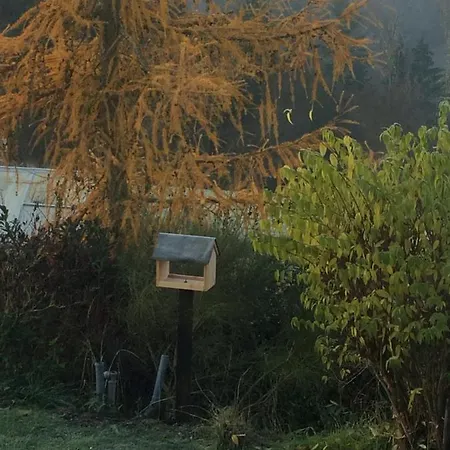 In Der Natur Urlaub Machen Apartment
